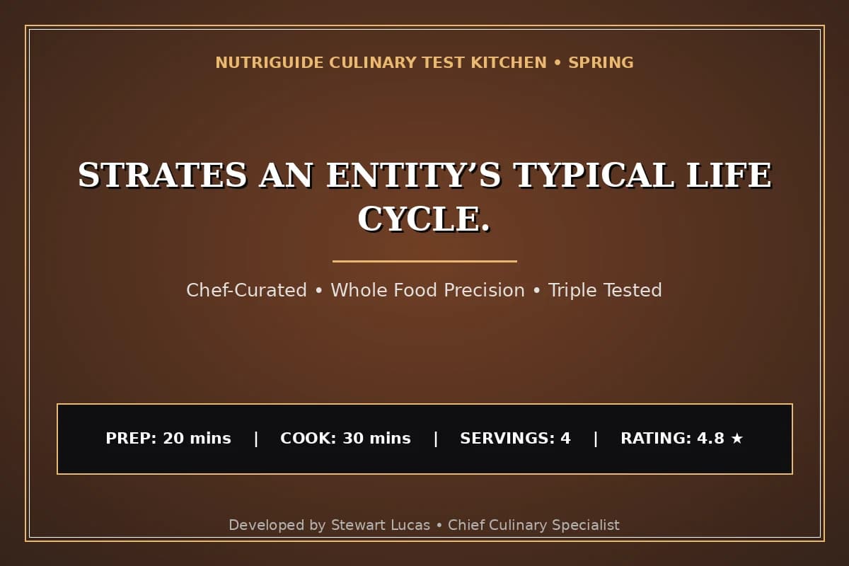 Strates An Entity’S Typical Life Cycle.
