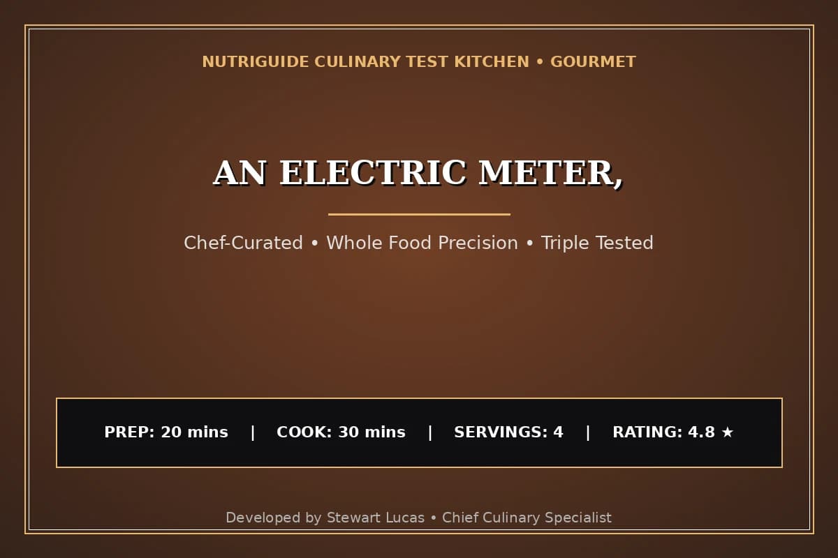An Electric Meter,