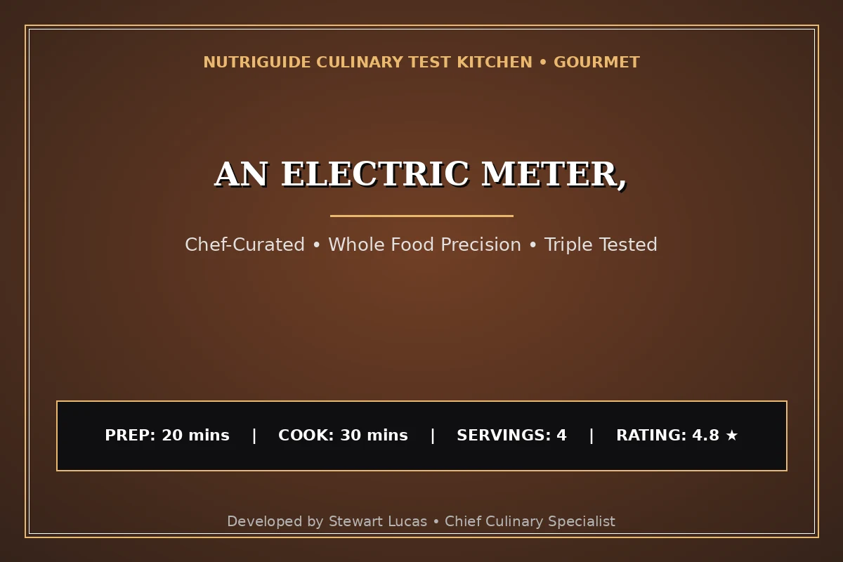 An Electric Meter,
