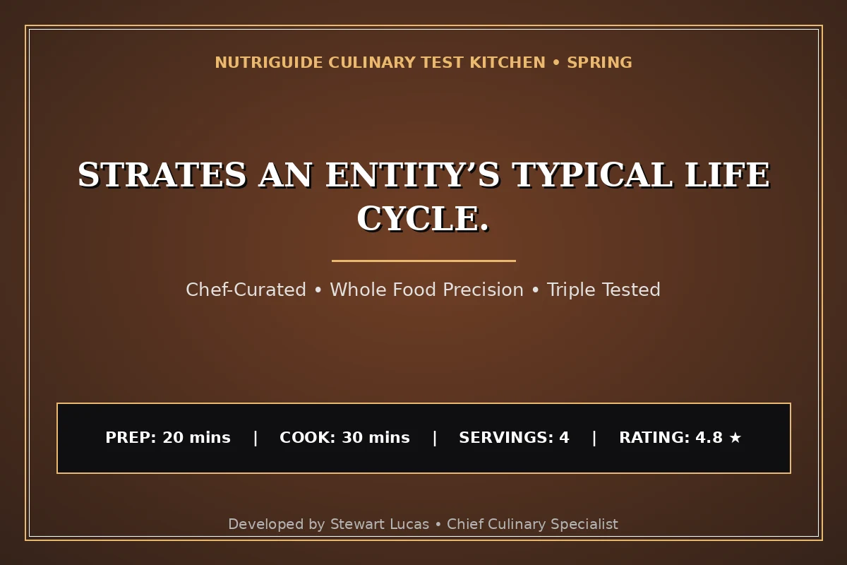 Strates An Entity’S Typical Life Cycle.
